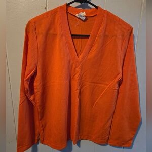 Vintage Sheer Vneck Long Sleeve Blouse Top